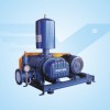 flvte-04-鲁式鼓风机