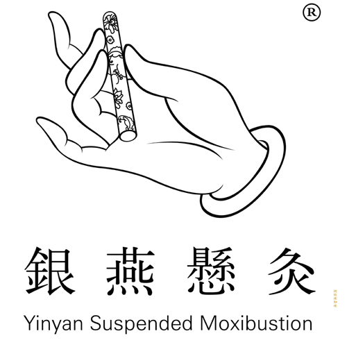 银燕悬灸调理：八大系列，六十个项目