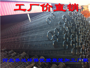 霍林郭勒市除尘器骨架｜泊头优质除尘器骨架厂家