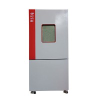 北京多种气体腐蚀试验箱品质好厂家伟思仪器