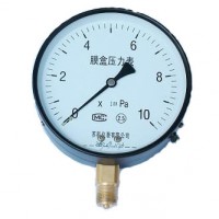 膜盒压力表厂家,膜盒压力表价格